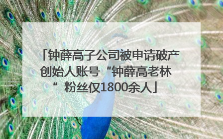 钟薛高子公司被申请破产 创始人账号“钟薛高老林”粉丝仅1800余人